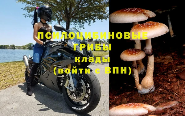 соль курить ск Алексин