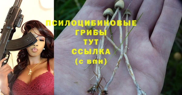 a pvp Алзамай