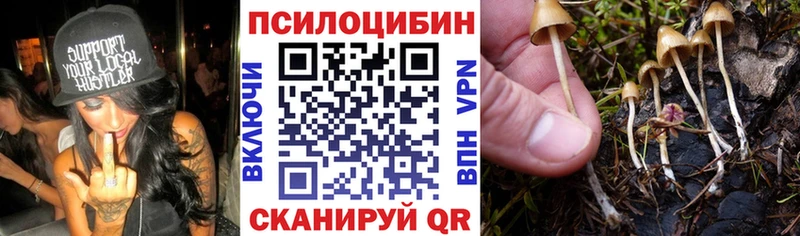 Купить  Медвежьегорск  Галлюциногенные грибы GOLDEN TEACHER 